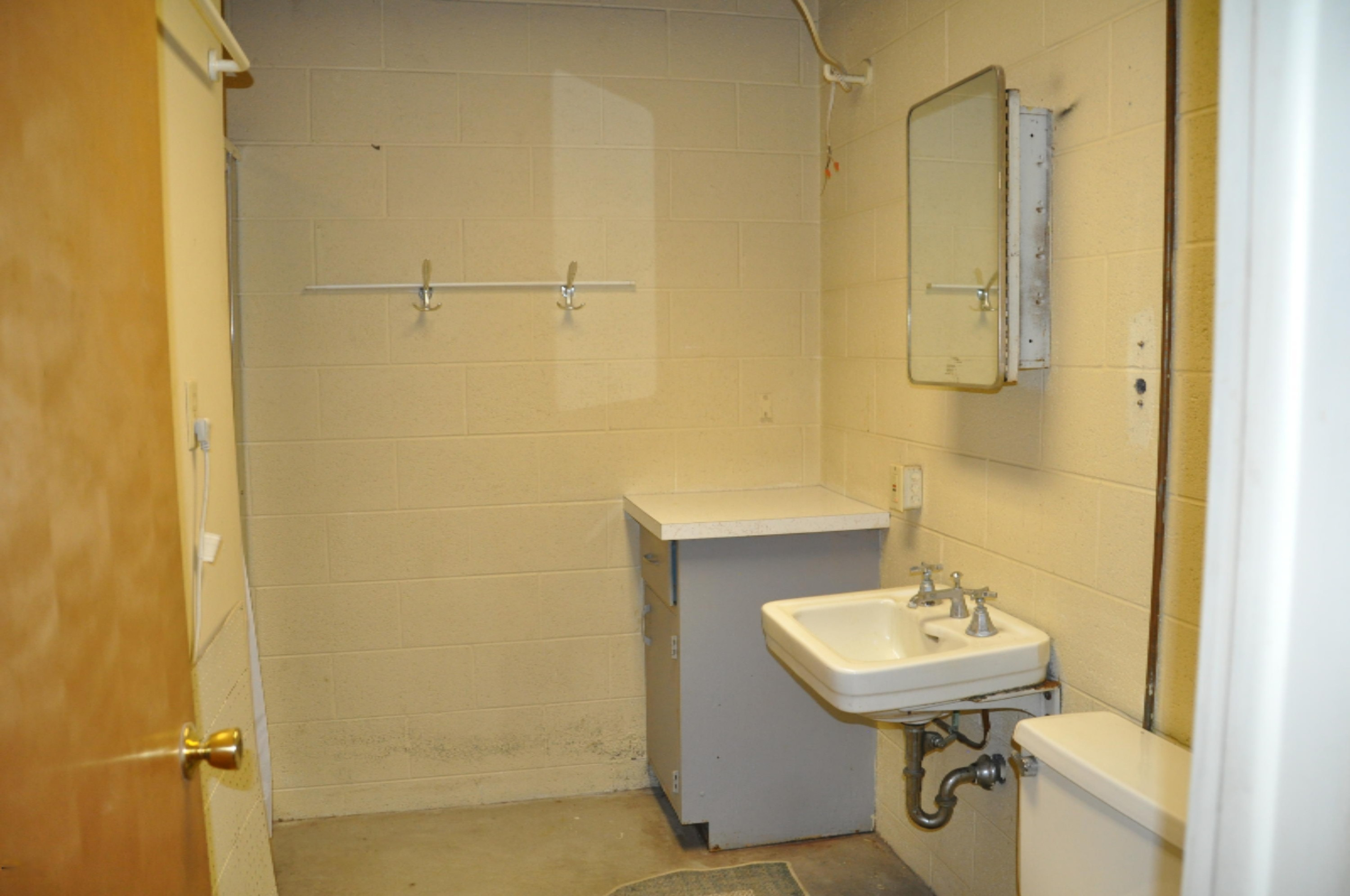 10221 Okemos Road Portland, MI 48875 - Photo 35 of 56 DSC_0036
