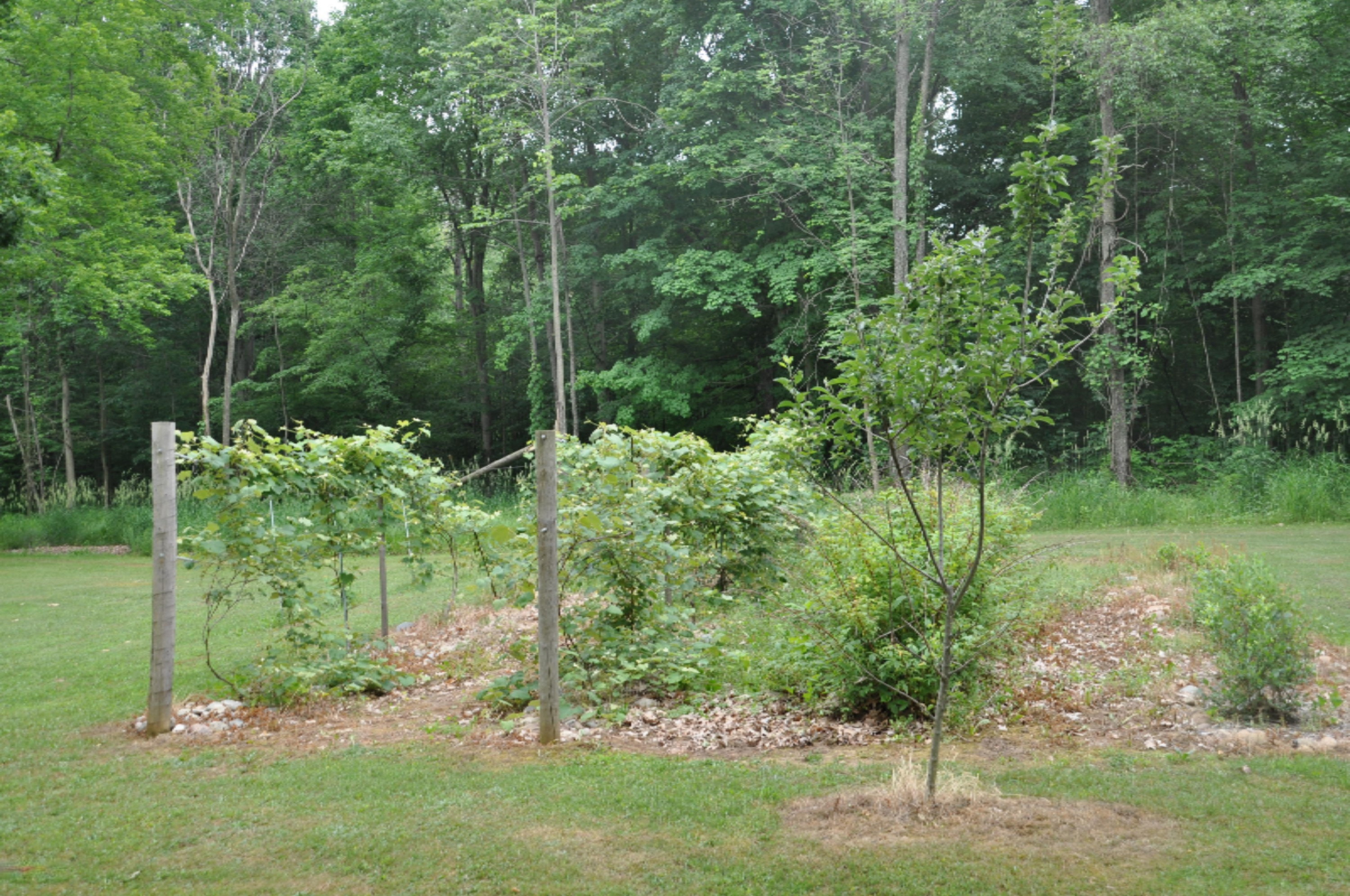 10221 Okemos Road Portland, MI 48875 - Photo 4 of 56 DSC_0003
