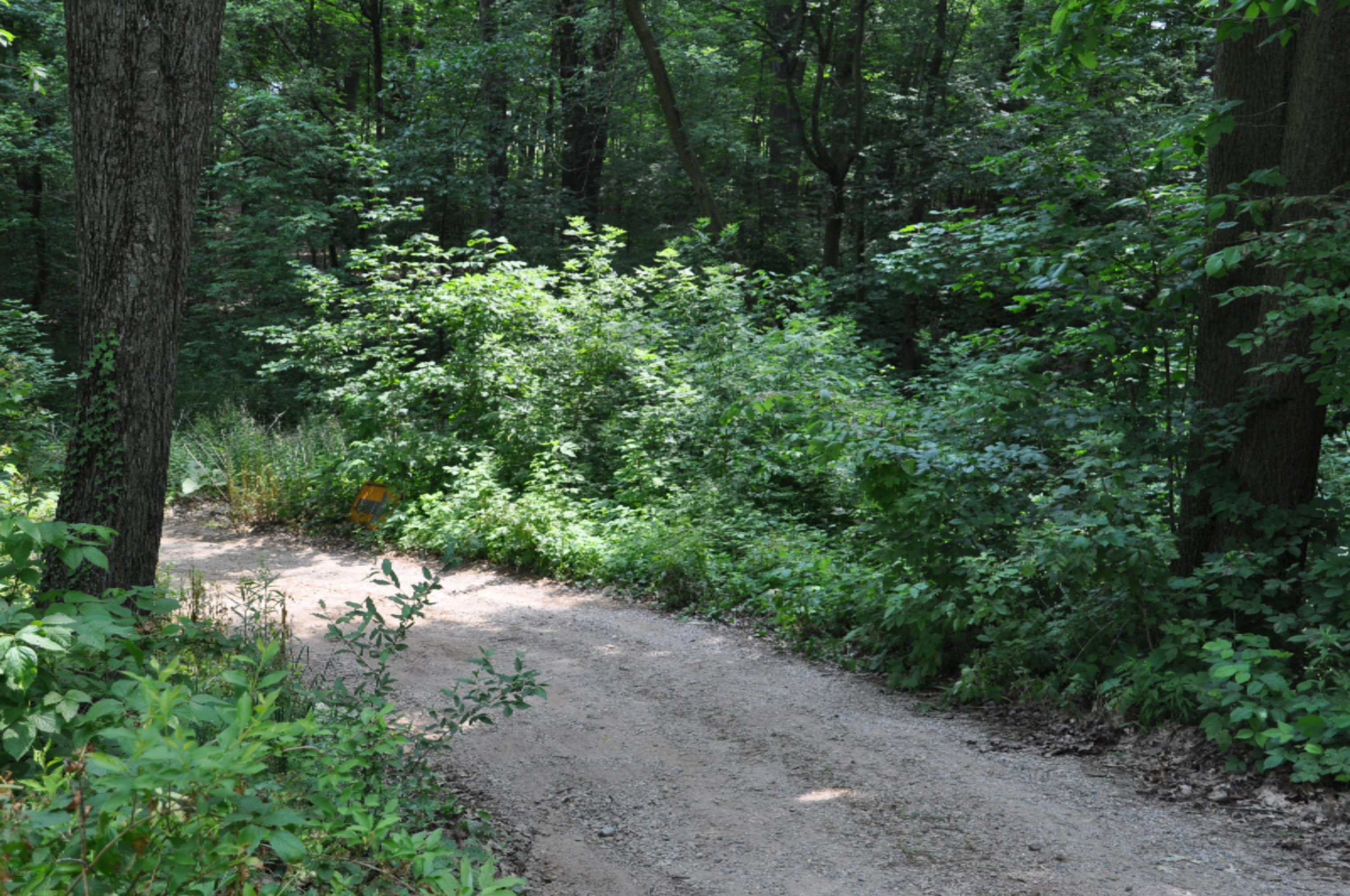 10221 Okemos Road Portland, MI 48875 - Photo 41 of 56 DSC_0042