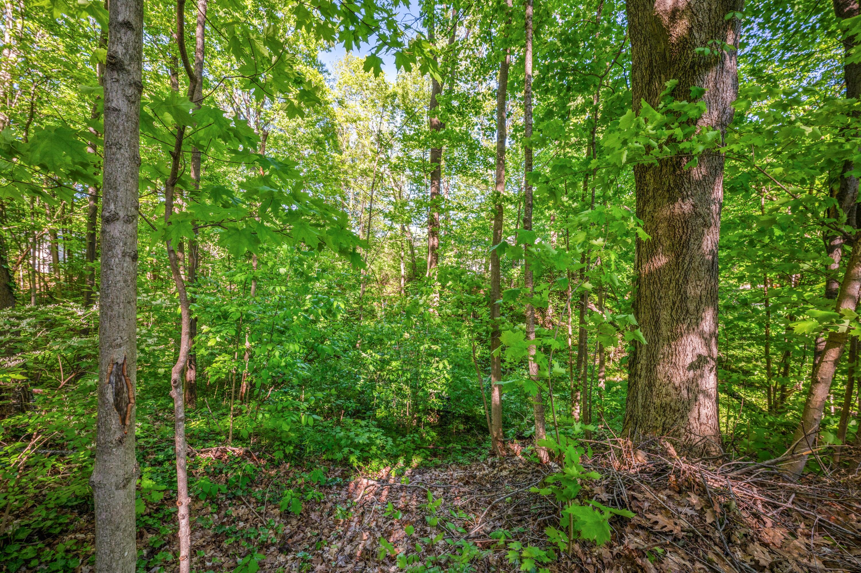 4085 Ravina Terrace St. Joseph, MI 49085 - Photo 29 of 29 a36