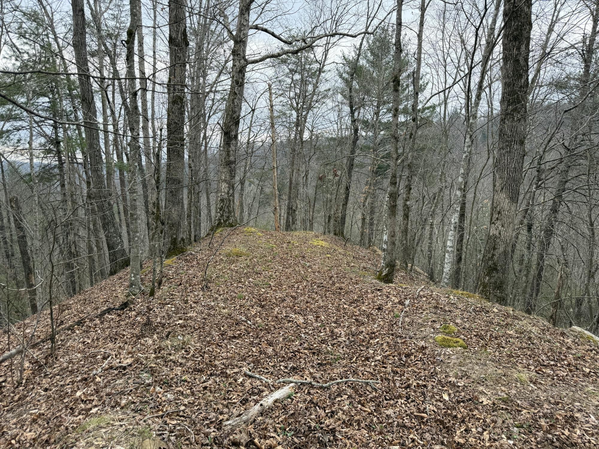 899 Morning Glory Road Oneida, TN 37841 - Photo 15 of 27