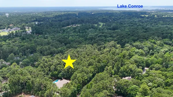 a view of a forest with a swimming pool