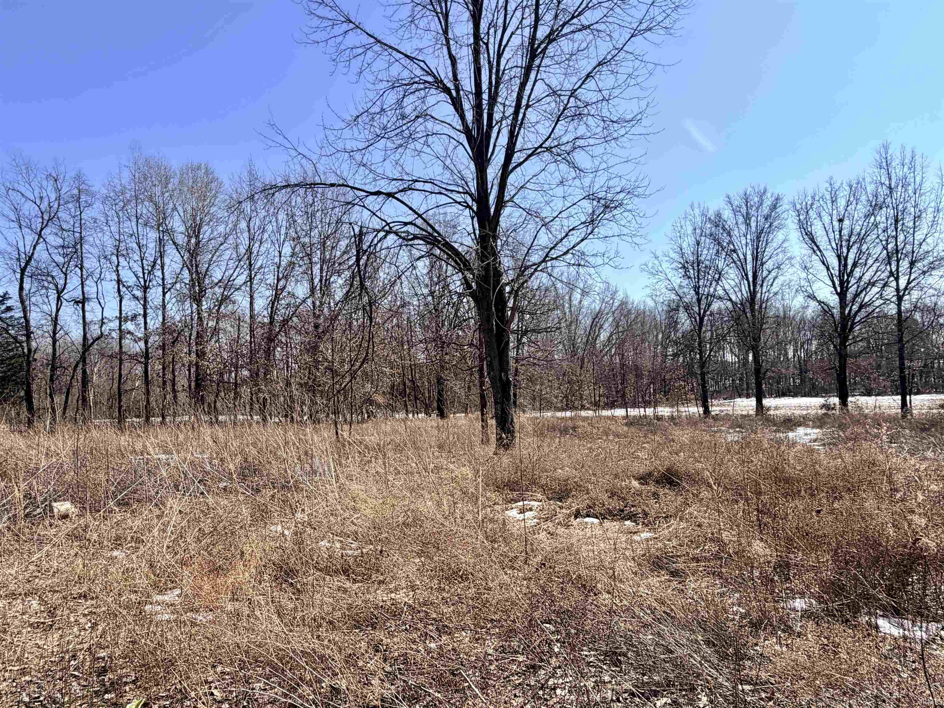 4541 West 1350th Road South Jasonville, IN 47438 - Photo 3 of 11