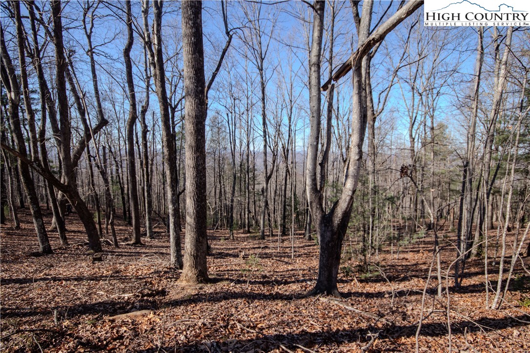2212 Nighthawk Ridge Court Lenoir, NC 28645 - Photo 2 of 11