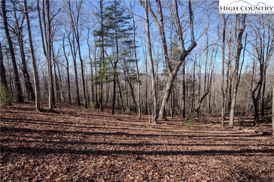 2212 Nighthawk Ridge Court Lenoir, NC 28645 - Photo 3 of 11