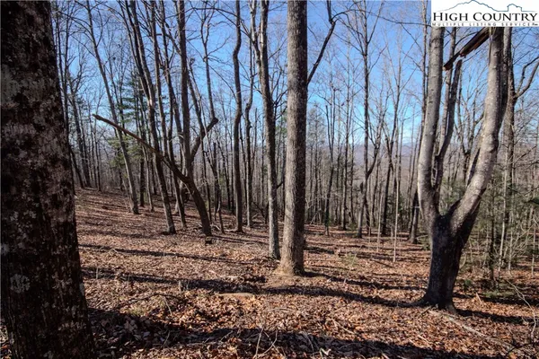 $89,000 | 2212 Nighthawk Ridge Court, Lenoir, NC 28645