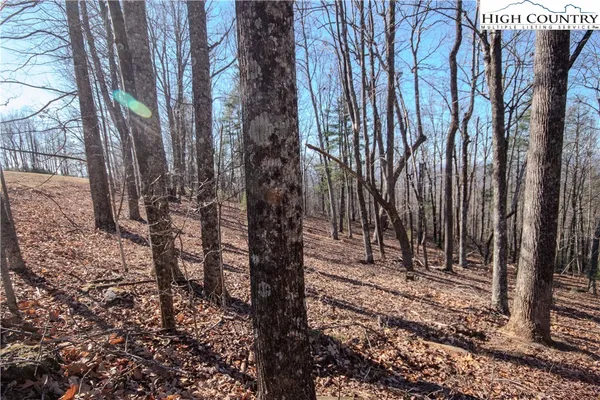 $89,000 | 2212 Nighthawk Ridge Court, Lenoir, NC 28645