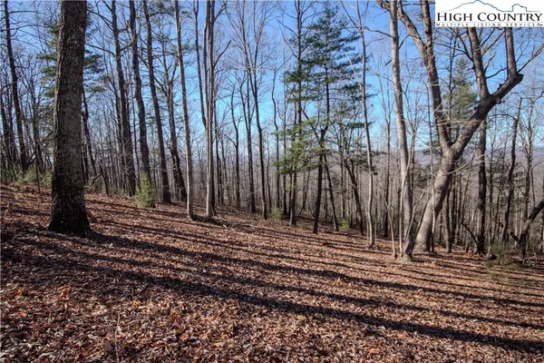 $89,000 | 2212 Nighthawk Ridge Court, Lenoir, NC 28645