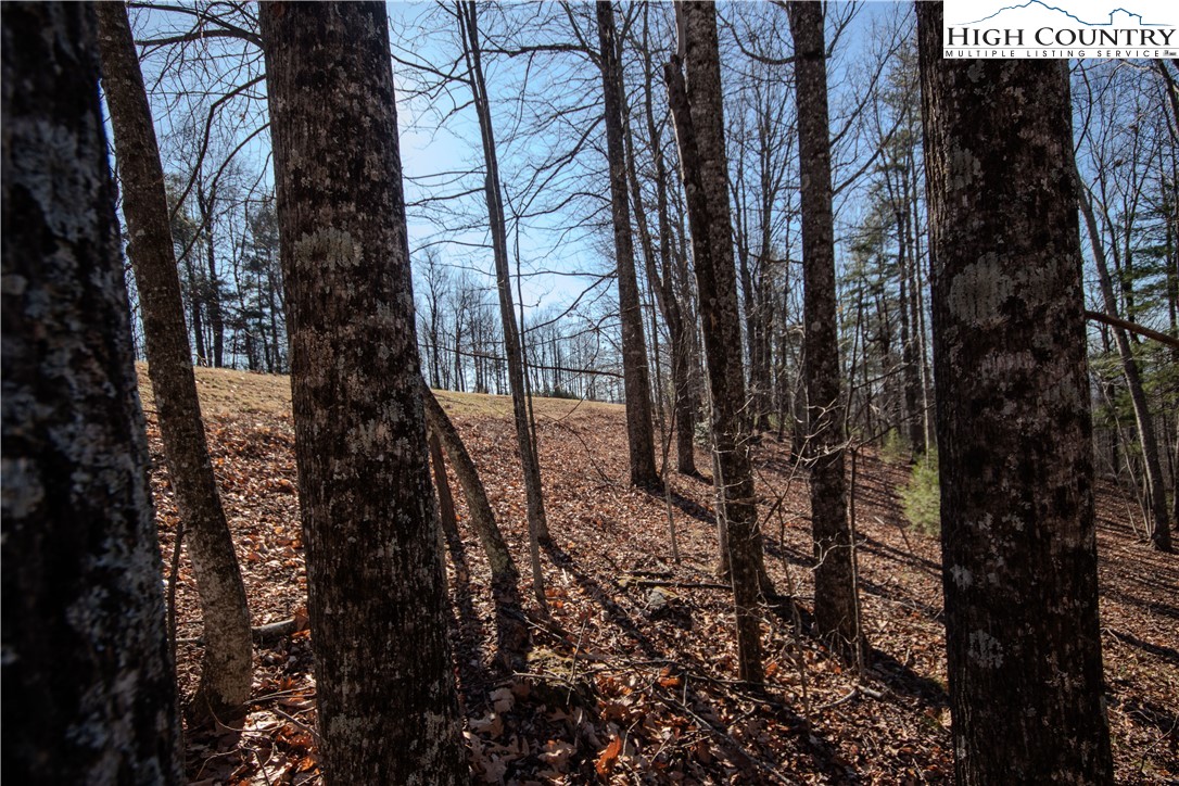 2212 Nighthawk Ridge Court Lenoir, NC 28645 - Photo 10 of 11