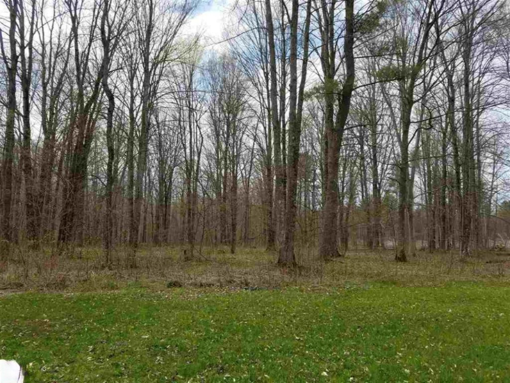 18651 Flarity Road Brethren, MI 49619 - Photo 21 of 24 22