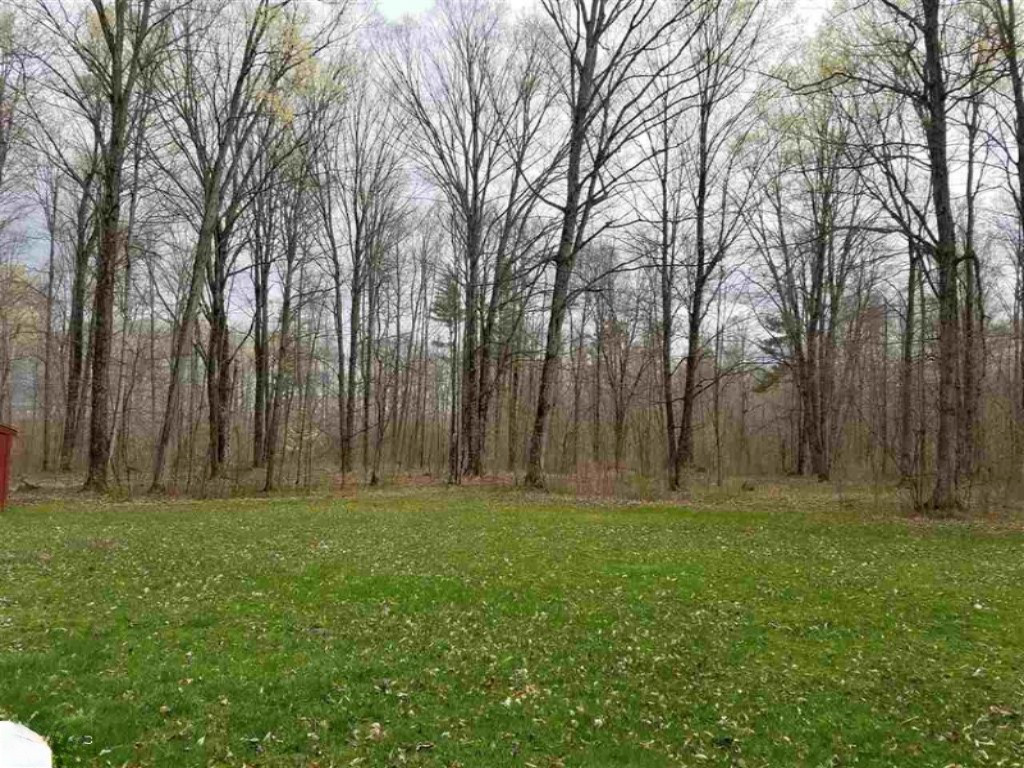 18651 Flarity Road Brethren, MI 49619 - Photo 23 of 24 24