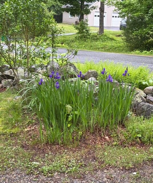 130 Marston Road Richmond, ME 04357 - Photo 43 of 49 image5