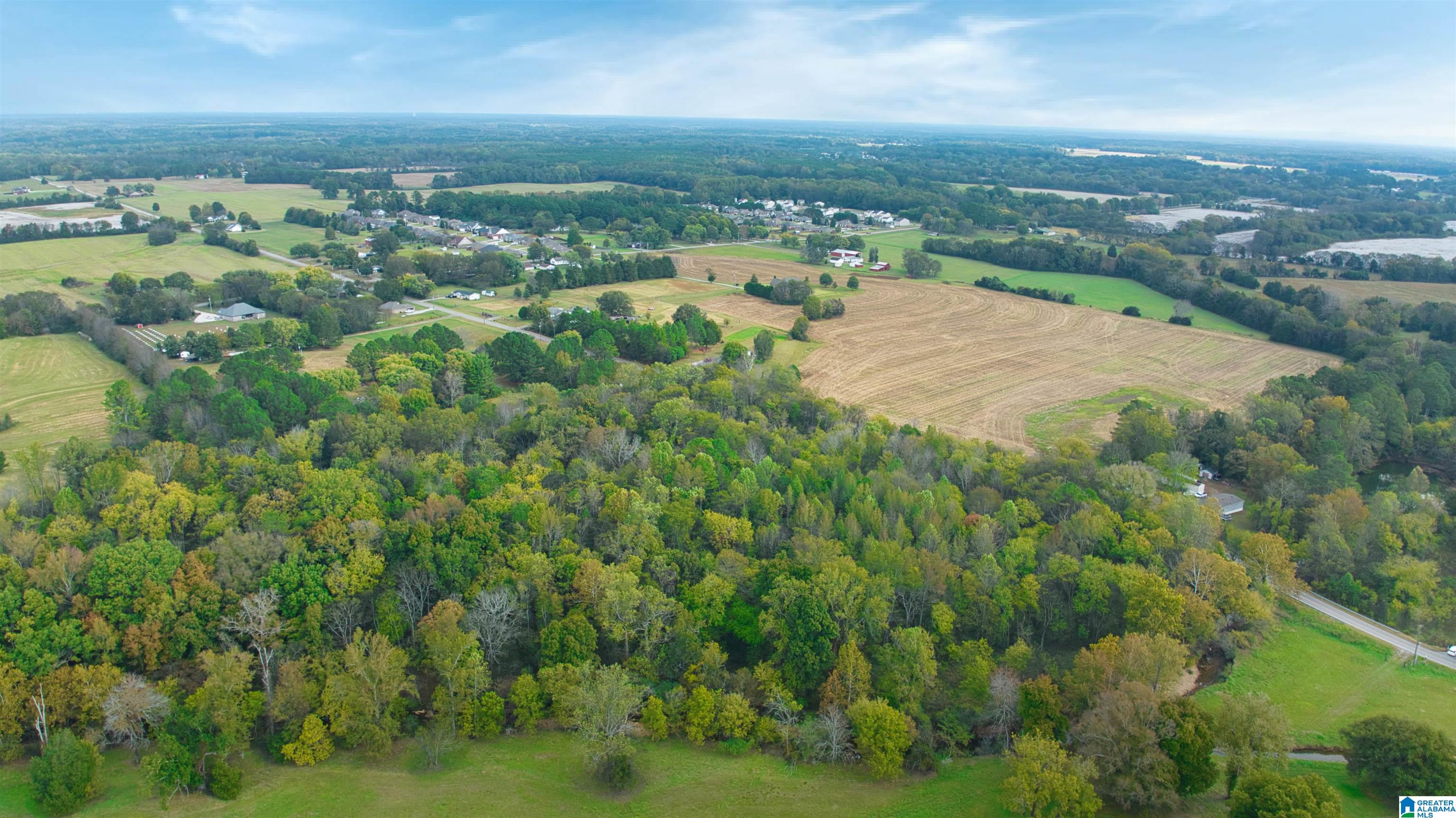 0 South Love Branch Road Toney, AL 35773 - Photo 21 of 26