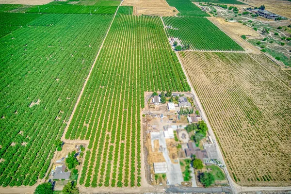 $1,675,000 | 3590 South McCall Avenue, Sanger, CA 93657
