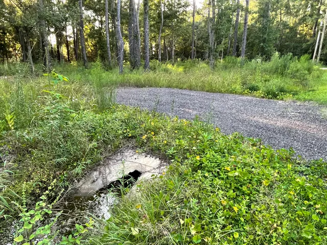 a view of outdoor space and yard