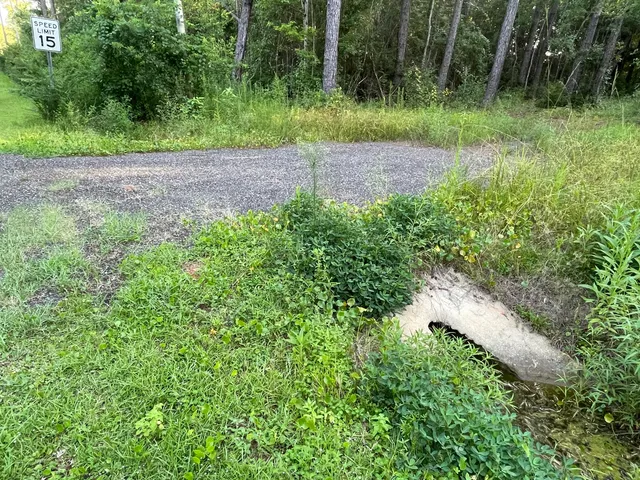 a view of outdoor space and yard