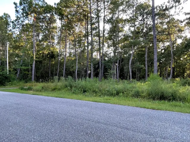 a view of field with large trees