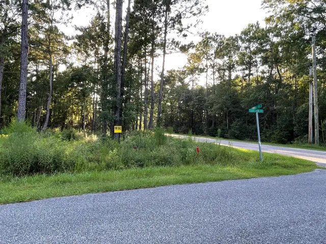 a view of outdoor space and yard