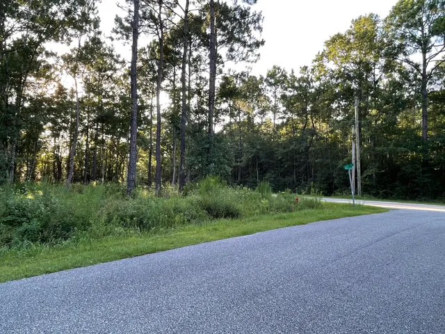 a view of a field with trees in the background