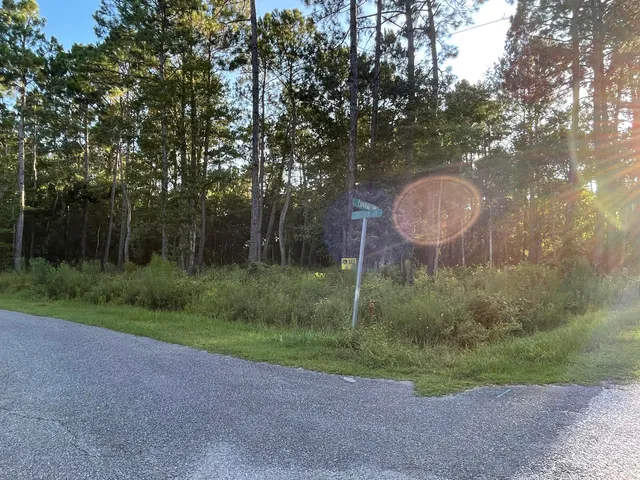 a view of a field with trees in the background