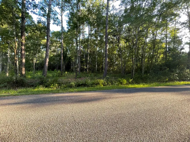 a backyard of a house with lots of green space and trees