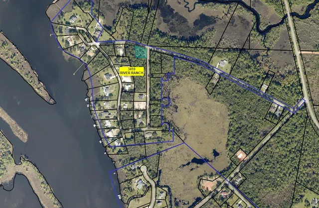 a view of a lush green forest