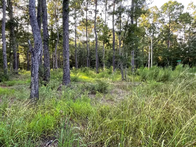 a view of outdoor space and green space