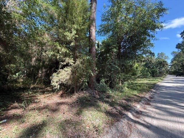 75 County Road Bunnell, FL 32110 - Photo 6 of 10 a big yard with lots of green space and bushes