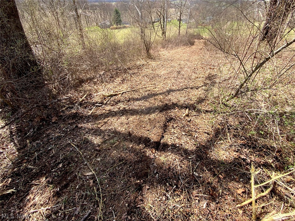 0 Township Road Coshocton, OH 43812 - Photo 20 of 24