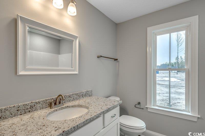 3589 Valley Forge Road Aynor, SC 29511 - Photo 23 of 24