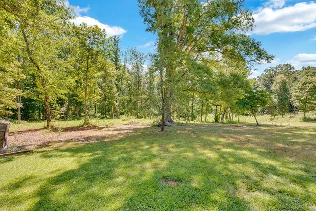 a view of a yard with a trees