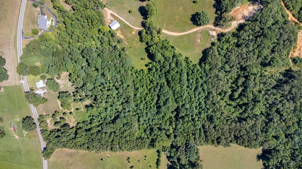 13593 Old Kentucky Road Walling, TN 38587 - Photo 29 of 30 a view of a plant in a garden