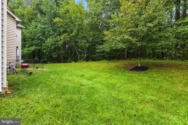 a garden with trees in the background