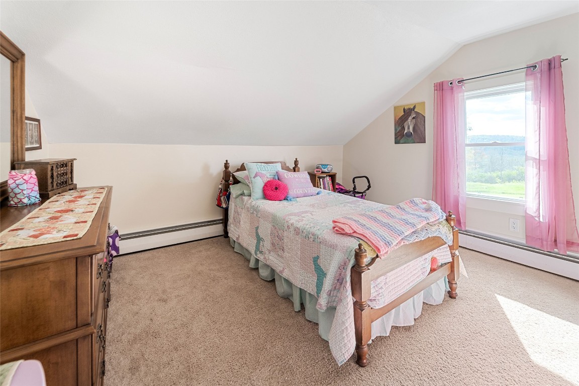 152 Turnpike Road Greene, NY 13778 - Photo 31 of 35 Gallery Image 31