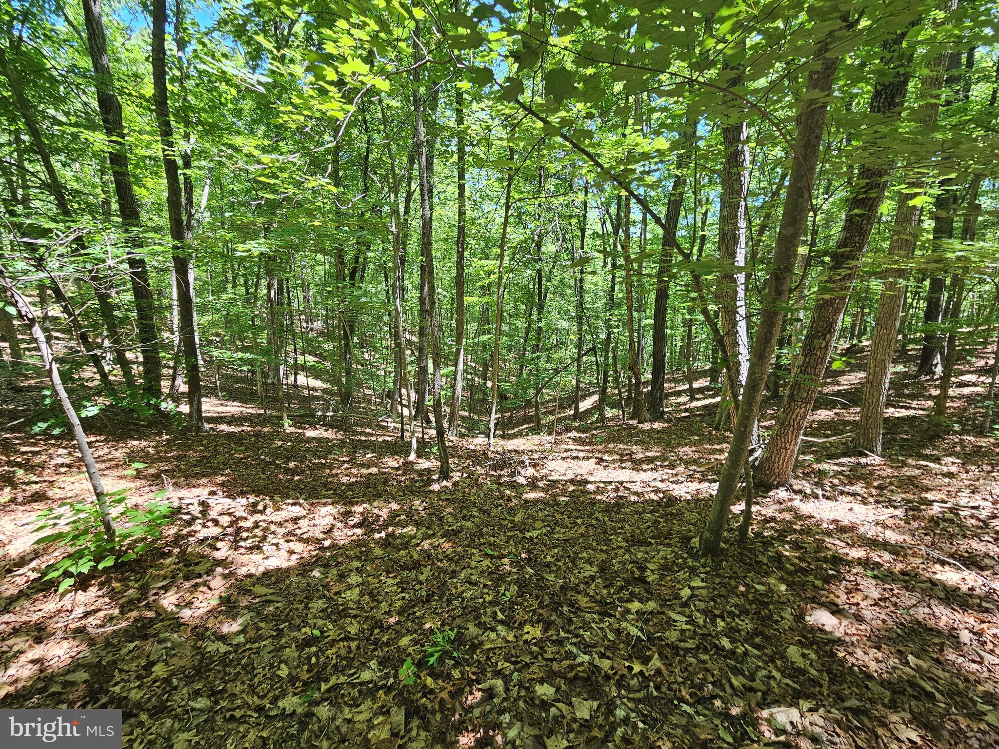 15-ac Manteo Road Buckingham, VA 23921 - Photo 16 of 18