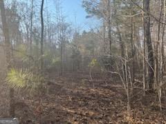 948 Smyrna Church Road Molena, GA 30258 - Photo 6 of 35