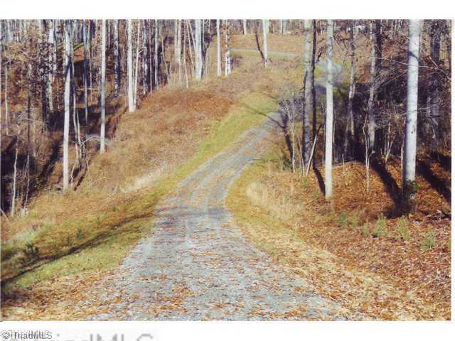 0 Binkley Road East Bend, NC 27018 - Photo 2 of 14 Land/Lot.