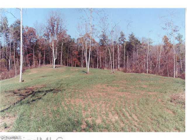 0 Binkley Road East Bend, NC 27018 - Photo 11 of 14 Land/Lot.
