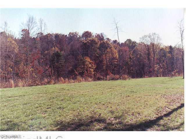 0 Binkley Road East Bend, NC 27018 - Photo 12 of 14 Land/Lot.