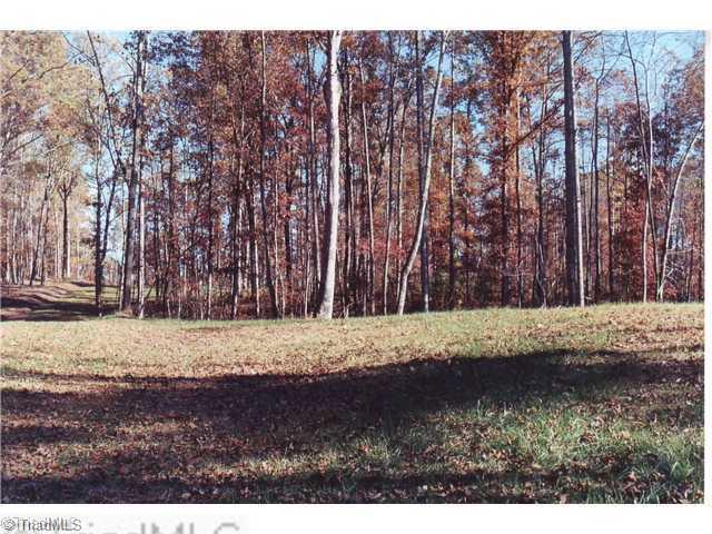 0 Binkley Road East Bend, NC 27018 - Photo 13 of 14 Land/Lot.