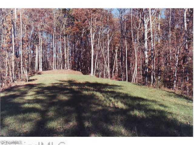 0 Binkley Road East Bend, NC 27018 - Photo 14 of 14 Land/Lot.