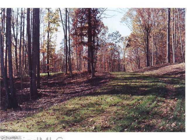 0 Binkley Road East Bend, NC 27018 - Photo 3 of 14 Land/Lot.