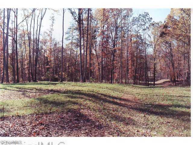 0 Binkley Road East Bend, NC 27018 - Photo 4 of 14 Land/Lot.