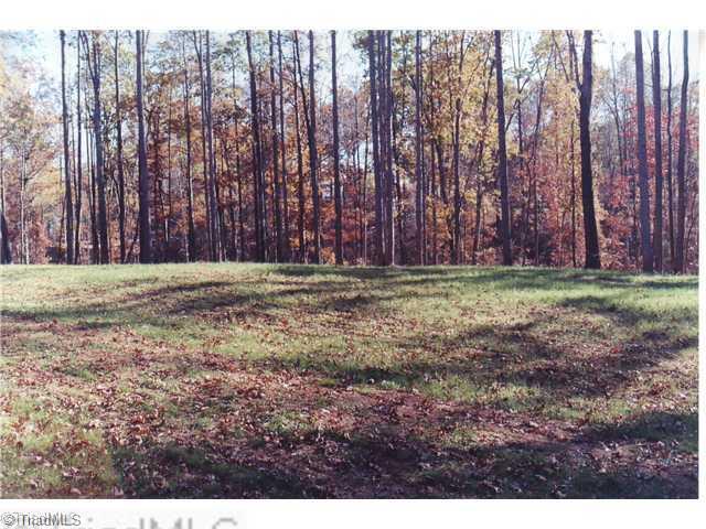 0 Binkley Road East Bend, NC 27018 - Photo 5 of 14 Land/Lot.