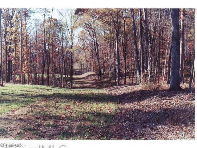 0 Binkley Road East Bend, NC 27018 - Photo 6 of 14 Land/Lot.