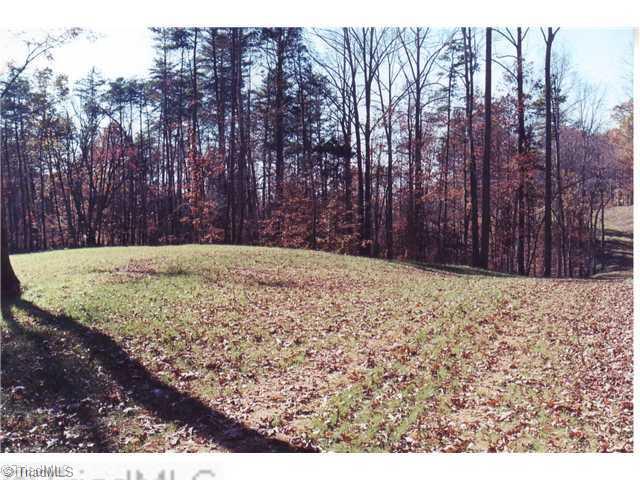 0 Binkley Road East Bend, NC 27018 - Photo 8 of 14 Land/Lot.