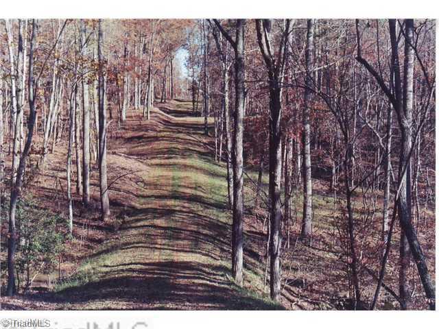 0 Binkley Road East Bend, NC 27018 - Photo 9 of 14 Land/Lot.