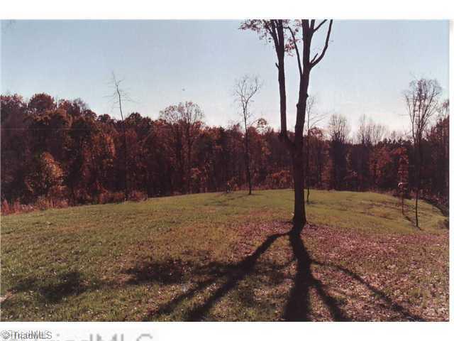 0 Binkley Road East Bend, NC 27018 - Photo 10 of 14 Land/Lot.