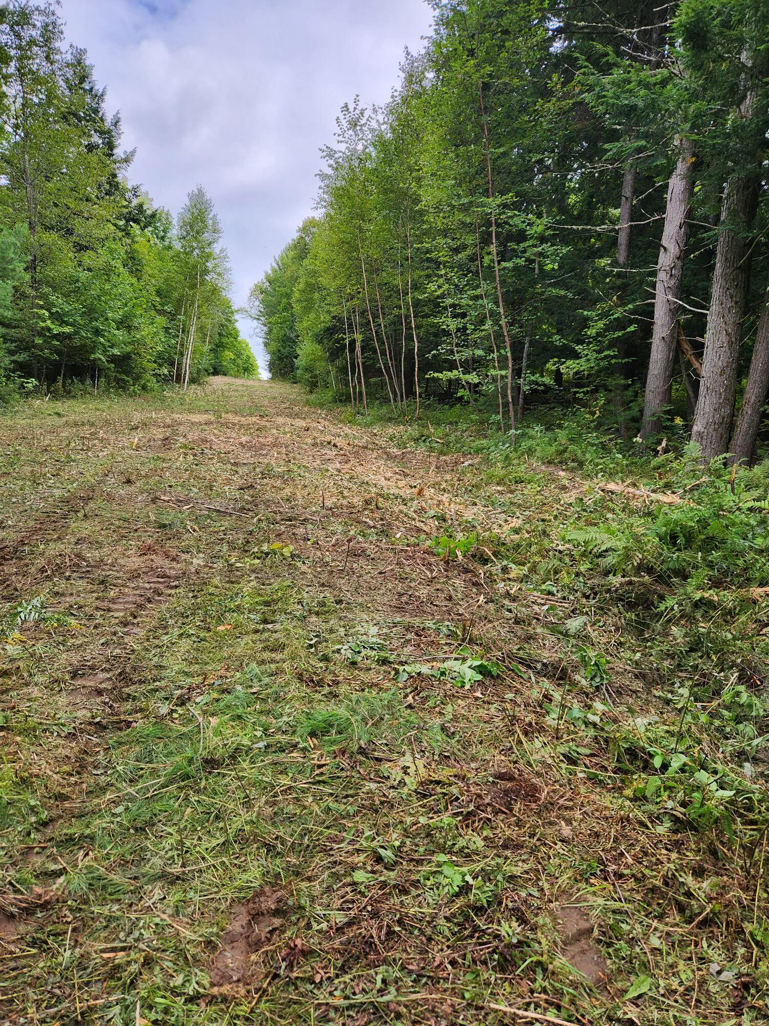 Lot 3 East Newport Road Stetson, ME 04488 - Photo 23 of 23 Resized_20240820_161354_1724185851475