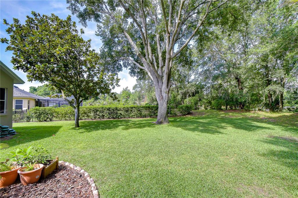 4916 Willow Ridge Terrace Valrico, FL 33596 - Photo 32 of 38